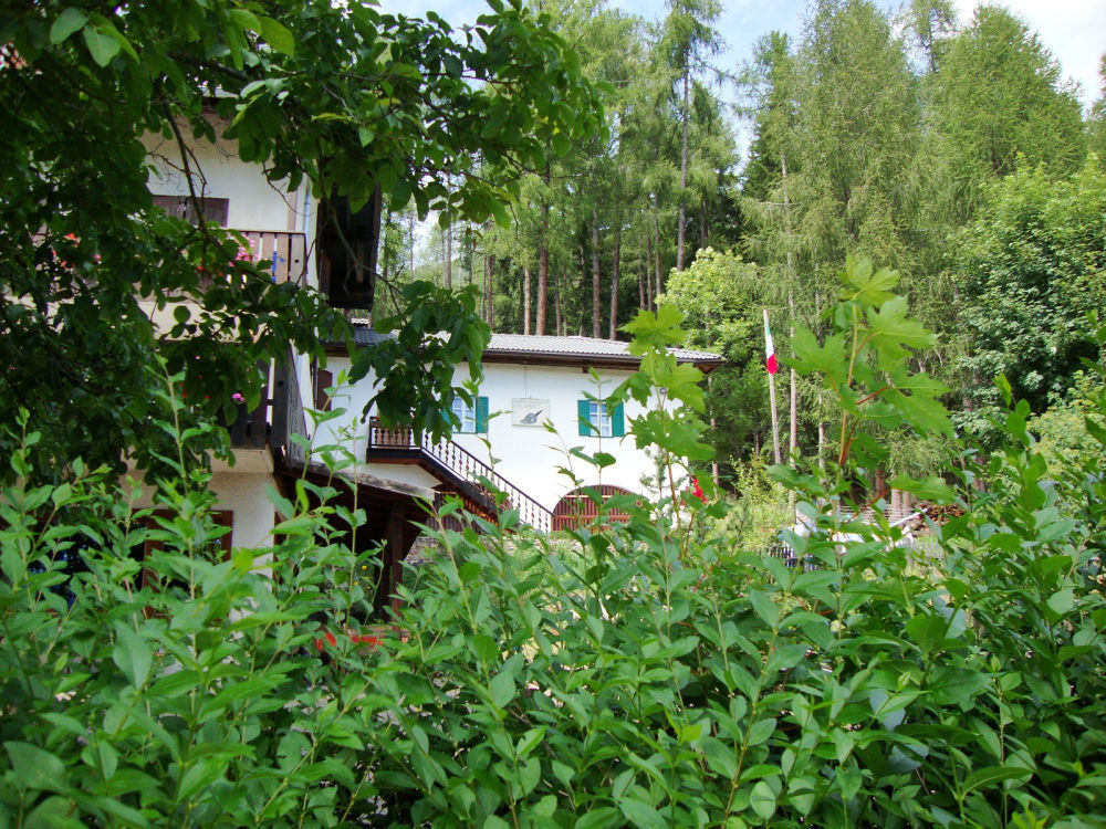 Hotel Ganzaie Val di Fiemme 외부 사진